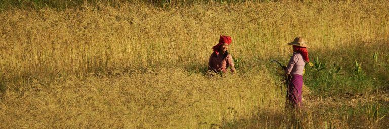 44. Trekking del Lago Inle
