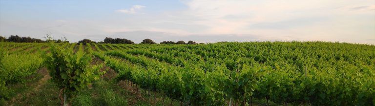 IMG_20200525_204804