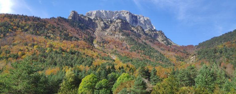 Otoño en la Selva de Oza: ruta circular Portada Selva de Oza